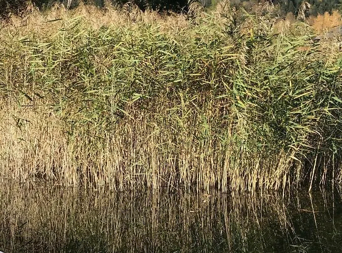 Apart Otel Stiegl Steindorf am Ossiacher See